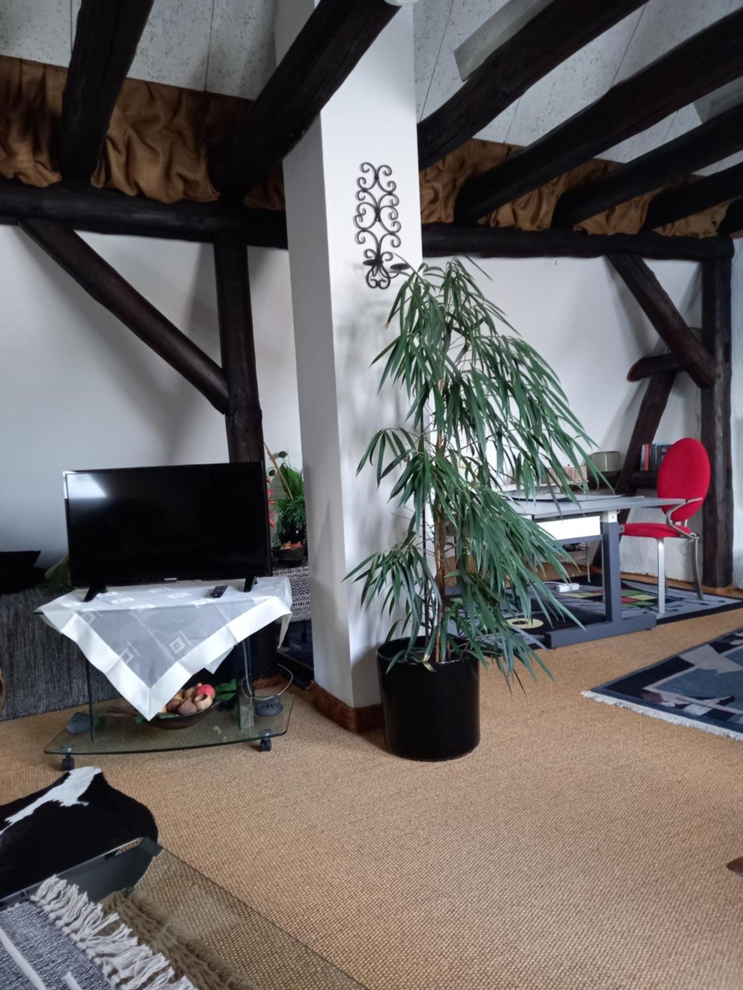 Loft Ziegelei Apartment Modautal Exterior photo